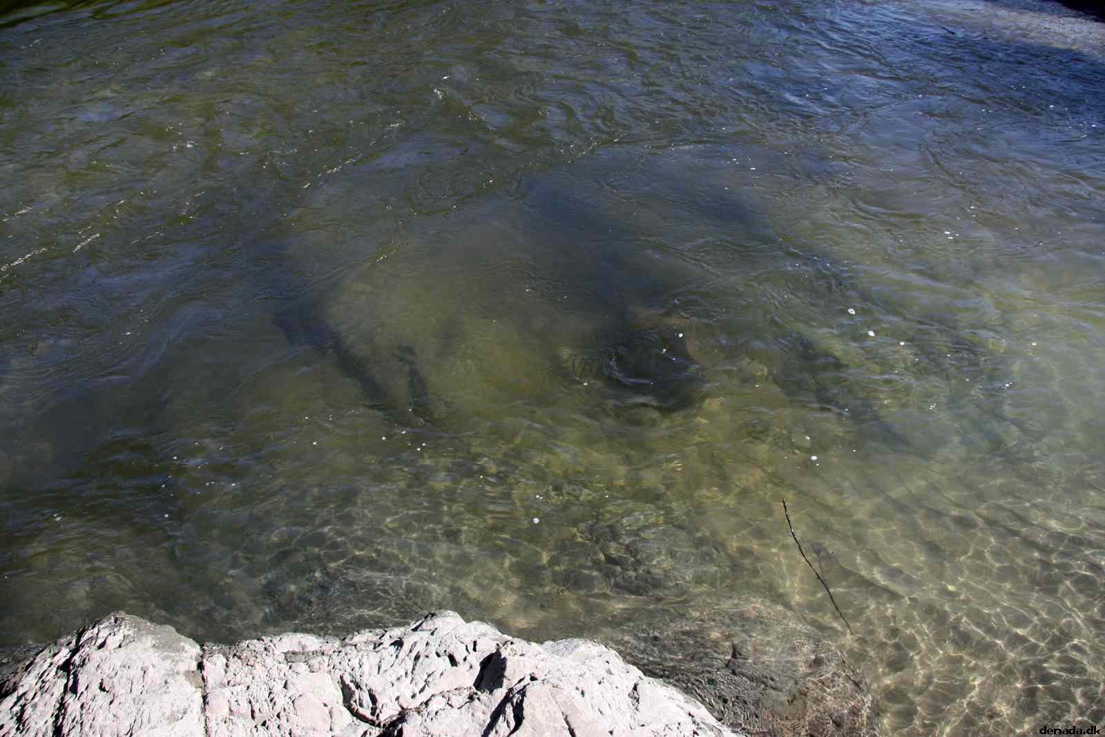 * Image 70