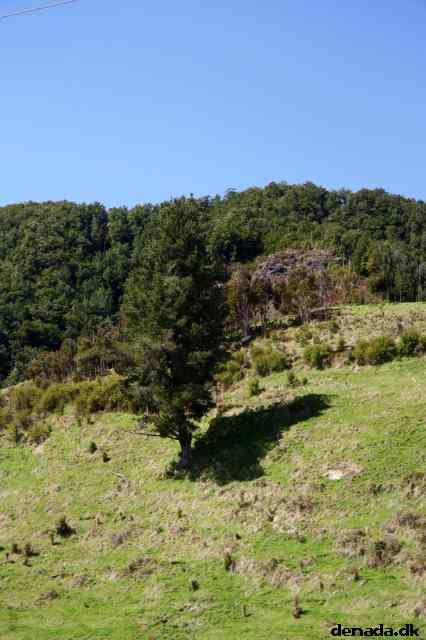 * Image 36