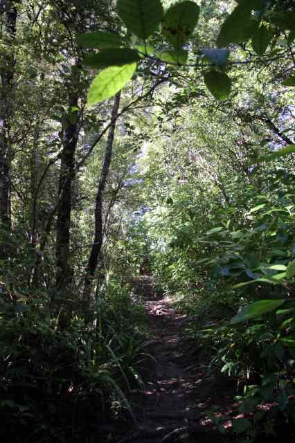 * Image 73