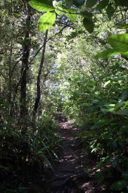 * Image 74