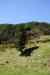 20121023_1424290m.jpg - 2012:10:23 14:24:29