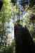 20121023_1659250m.jpg - 2012:10:23 16:59:25