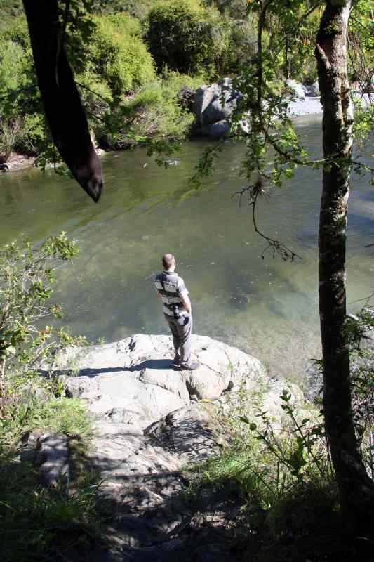 * Image 68