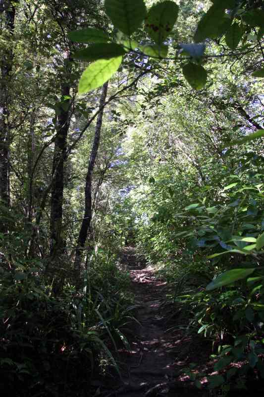 * Image 73