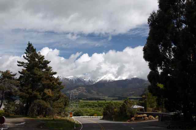 * Image 1