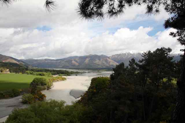 * Image 3