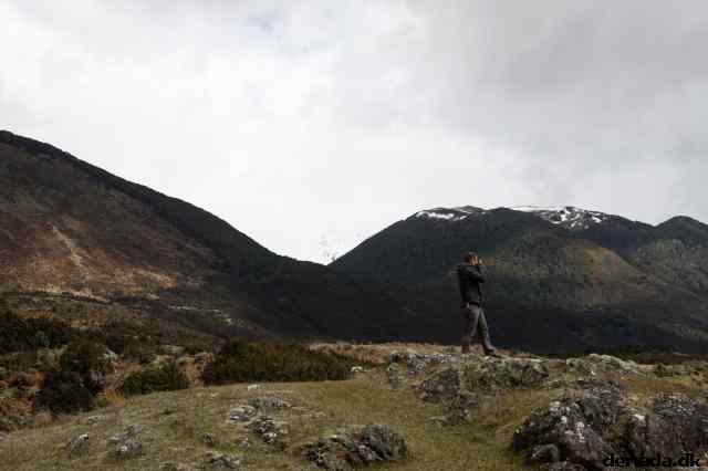 * Image 17