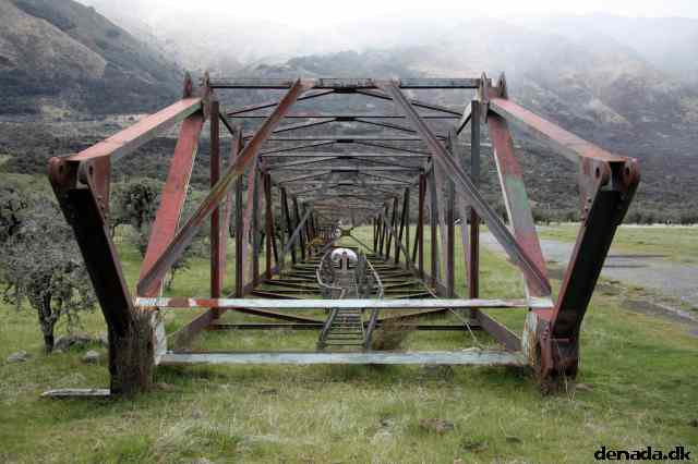 * Image 19