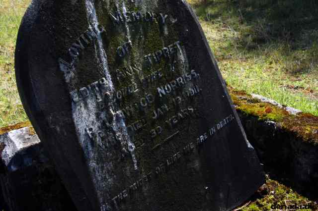 * Image 33