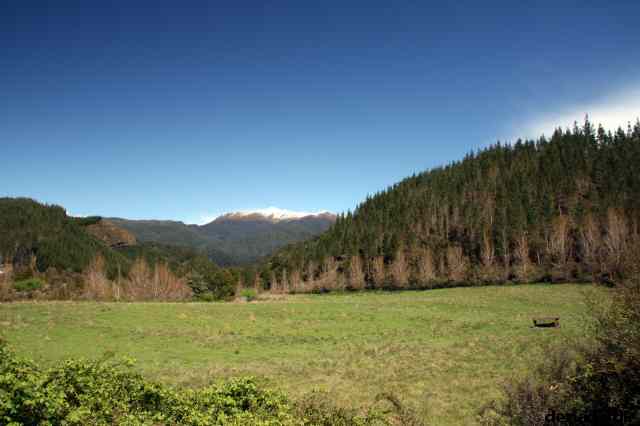 * Image 37