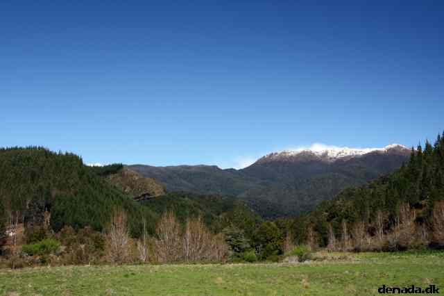 * Image 38