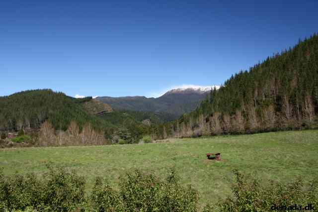 * Image 40
