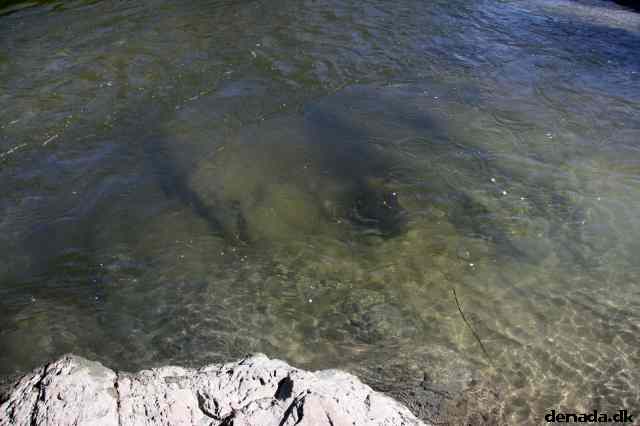 * Image 70