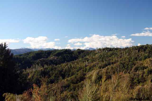 * Image 76