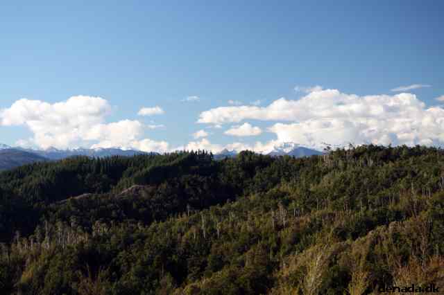 * Image 77