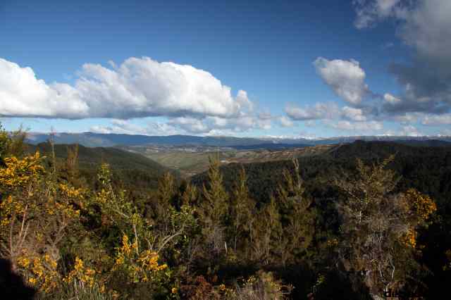 * Image 83