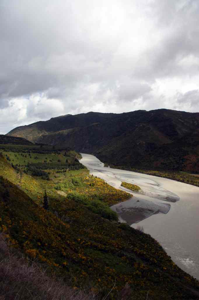 * Image 9