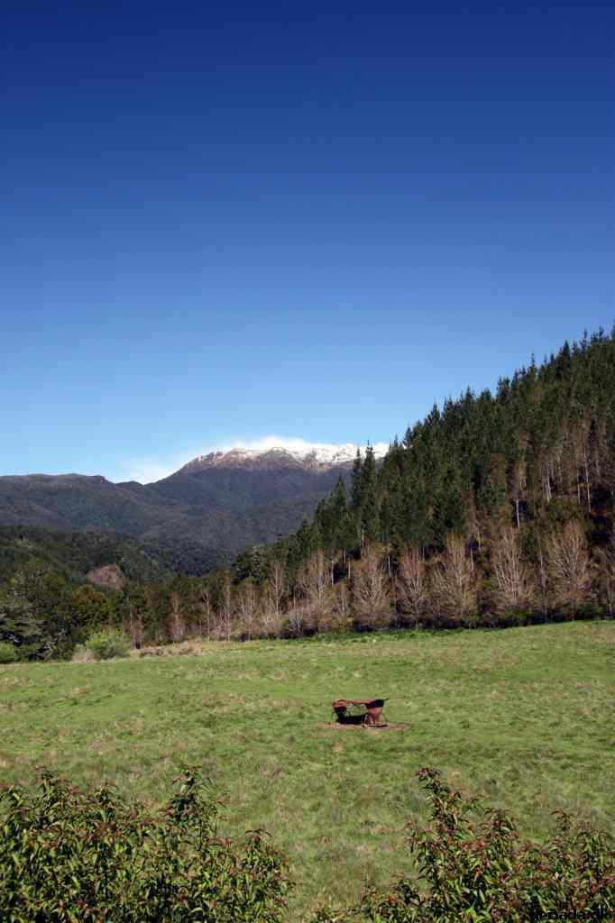 * Image 39