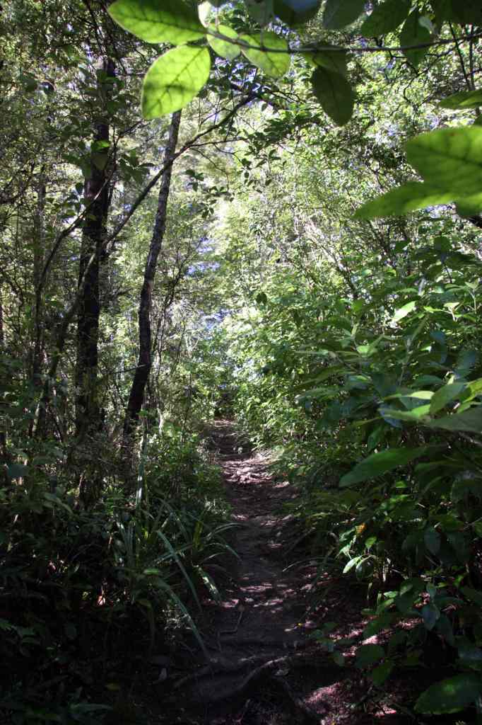 * Image 74
