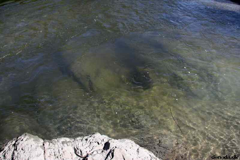 * Image 70
