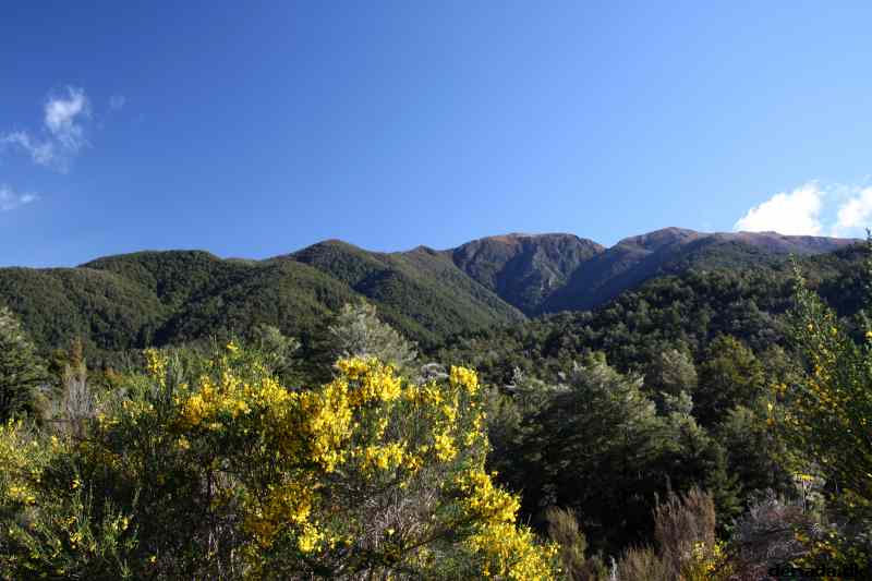 * Image 75