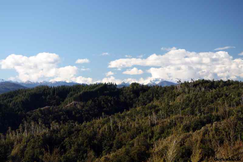 * Image 77