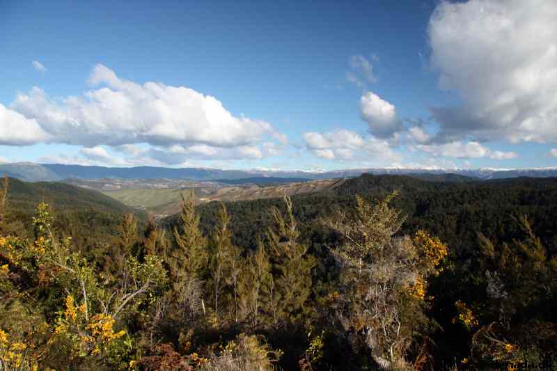 * Image 81