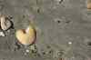 20121024_1132150m.jpg - 2012:10:24 11:32:15