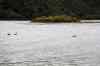 20121024_1613530m.jpg - 2012:10:24 16:13:53