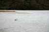 20121024_1614000m.jpg - 2012:10:24 16:14:00