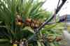 20121024_1627040m.jpg - 2012:10:24 16:27:04