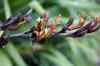20121024_1627100m.jpg - 2012:10:24 16:27:10