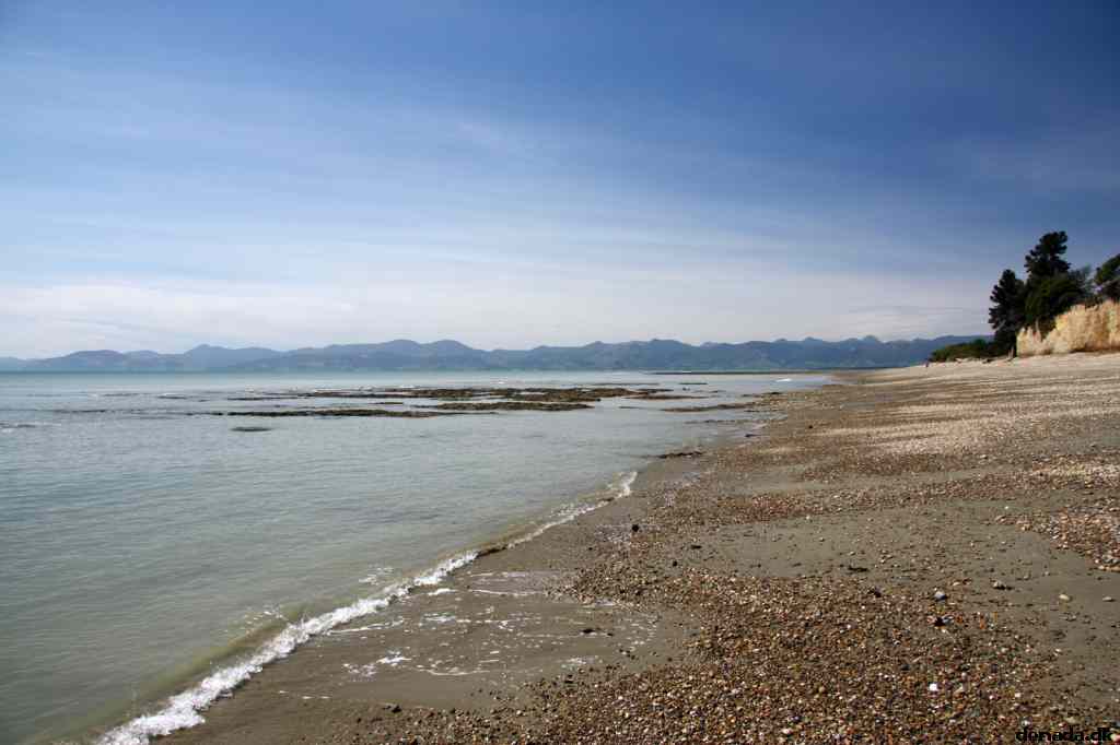 * Image 12