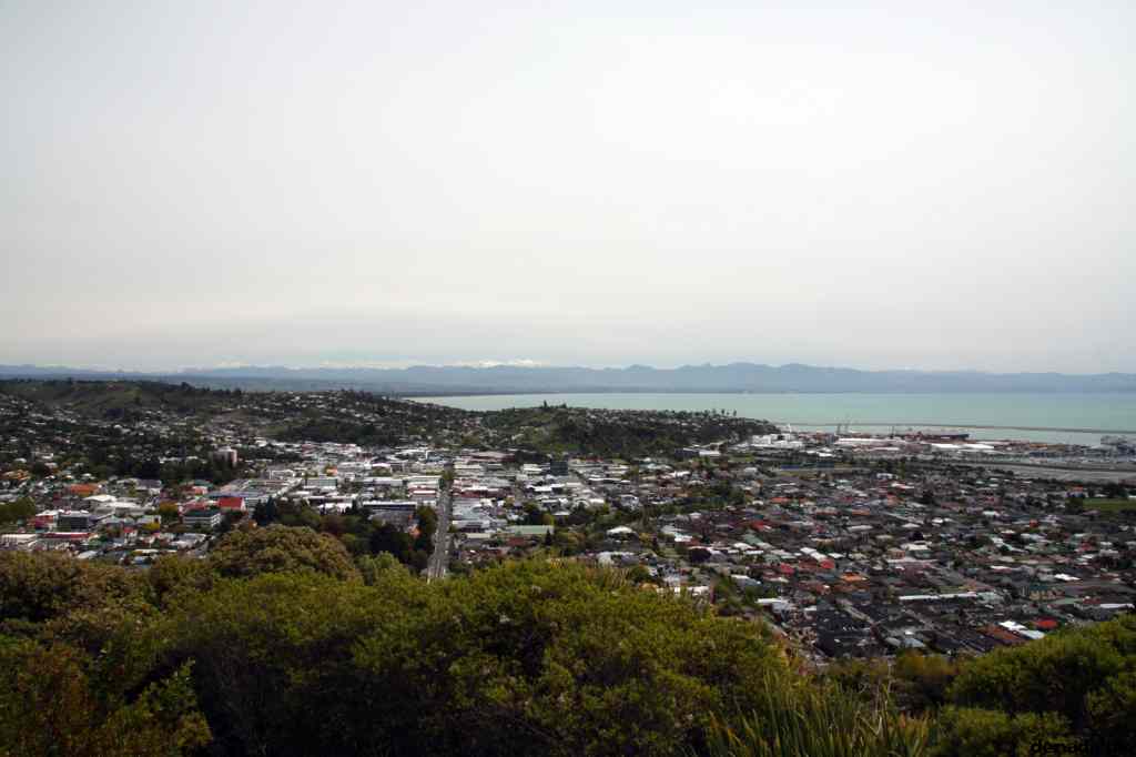 * Image 21
