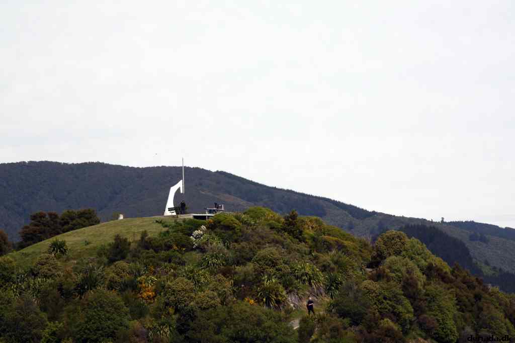 * Image 23