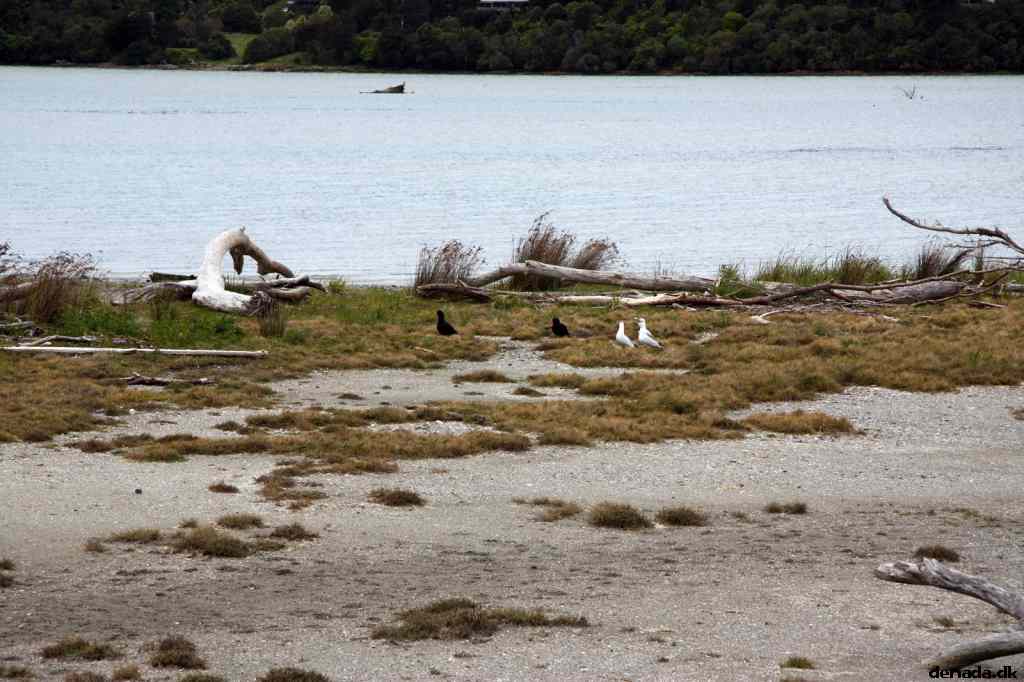 * Image 36