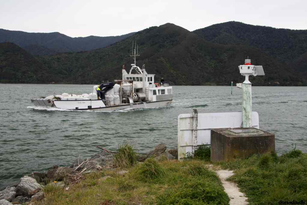 * Image 41