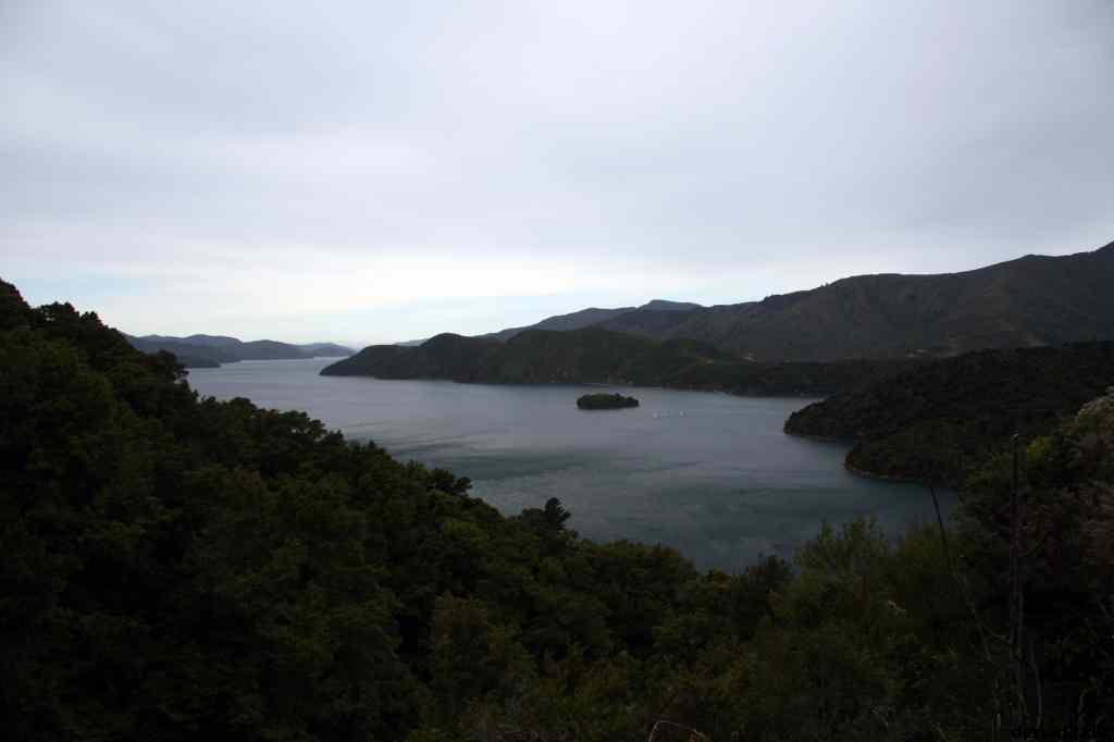 * Image 47