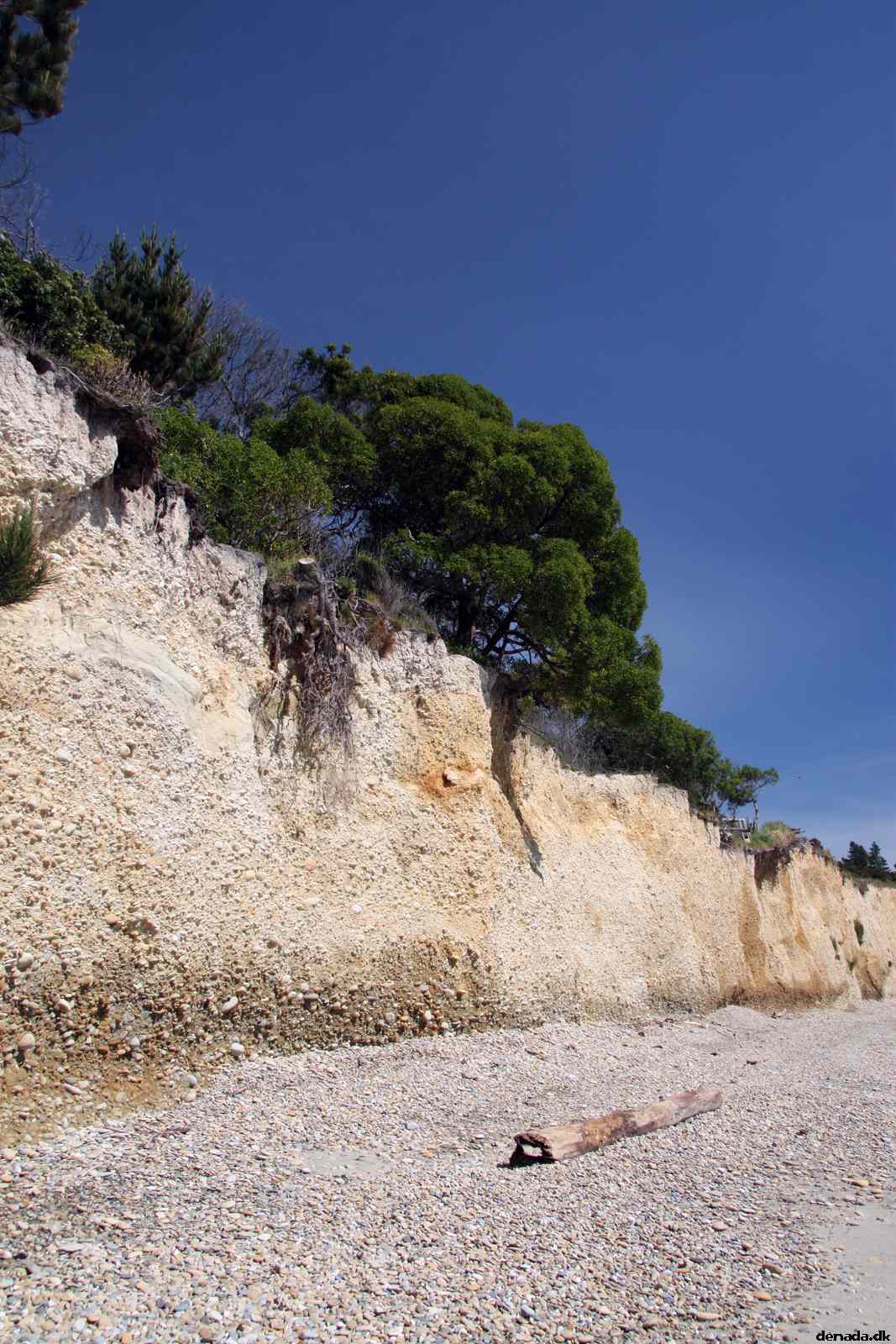 * Image 3