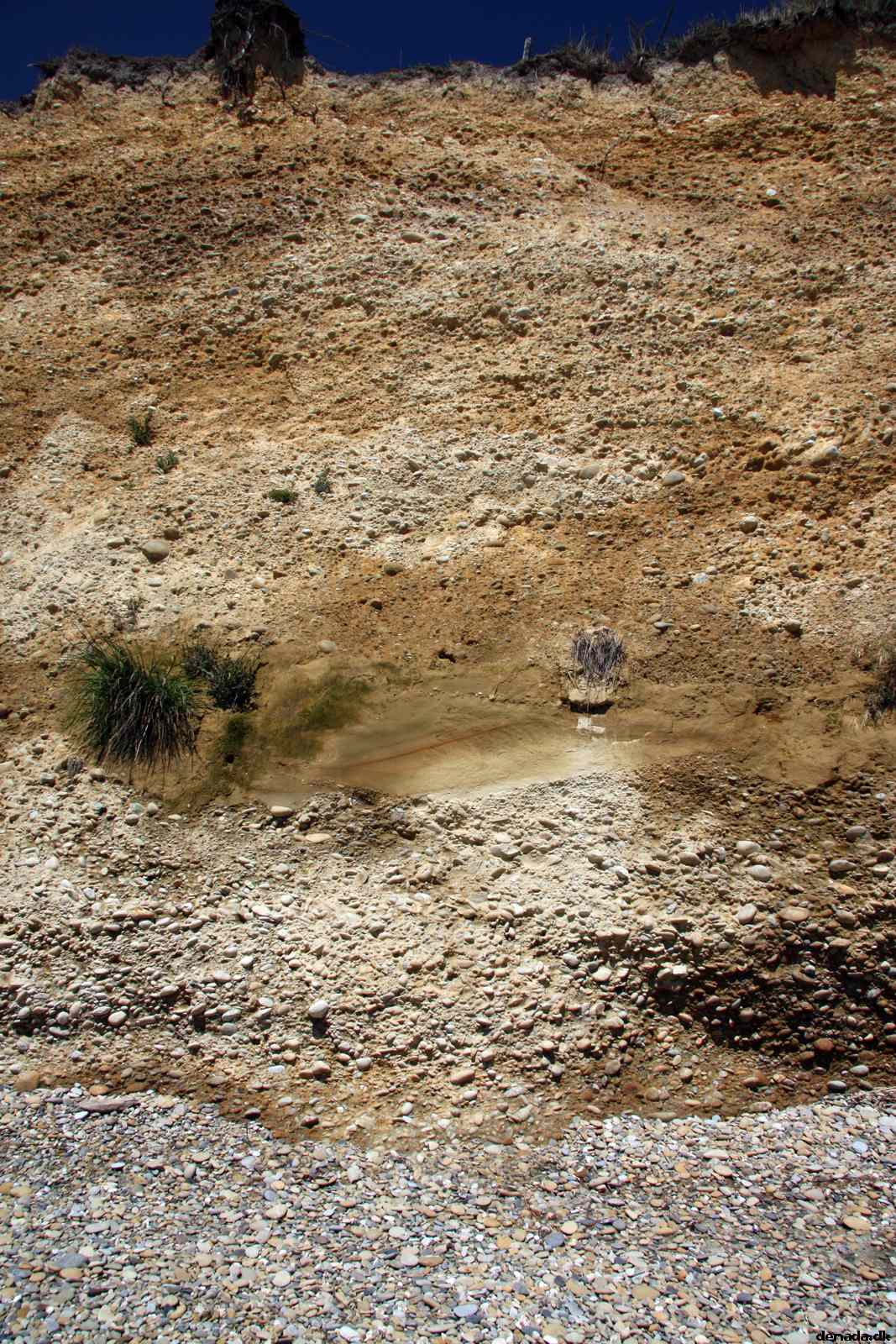 * Image 4