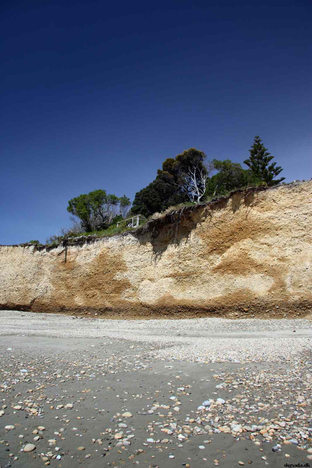* Image 13