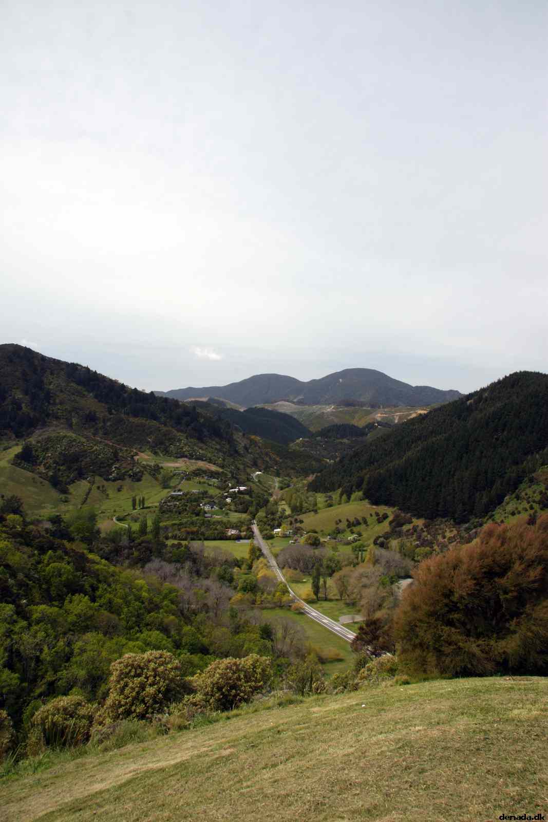 * Image 22