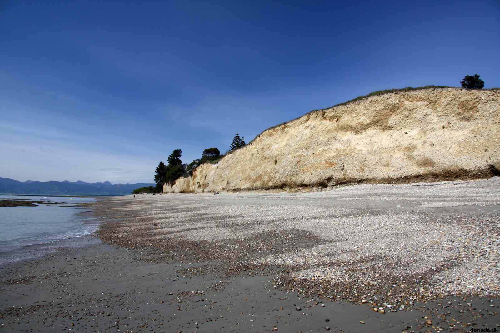 * Image 11