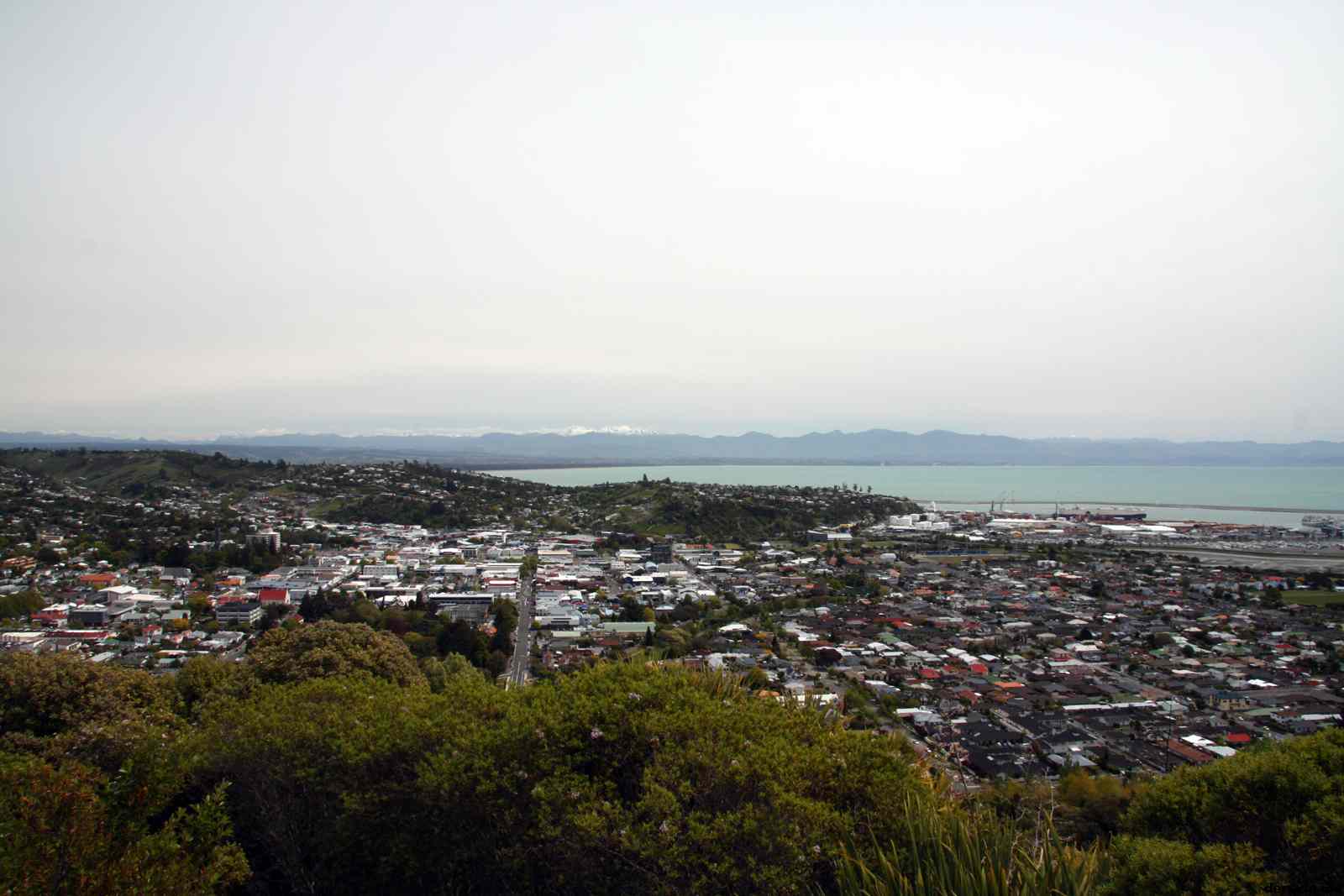 * Image 21