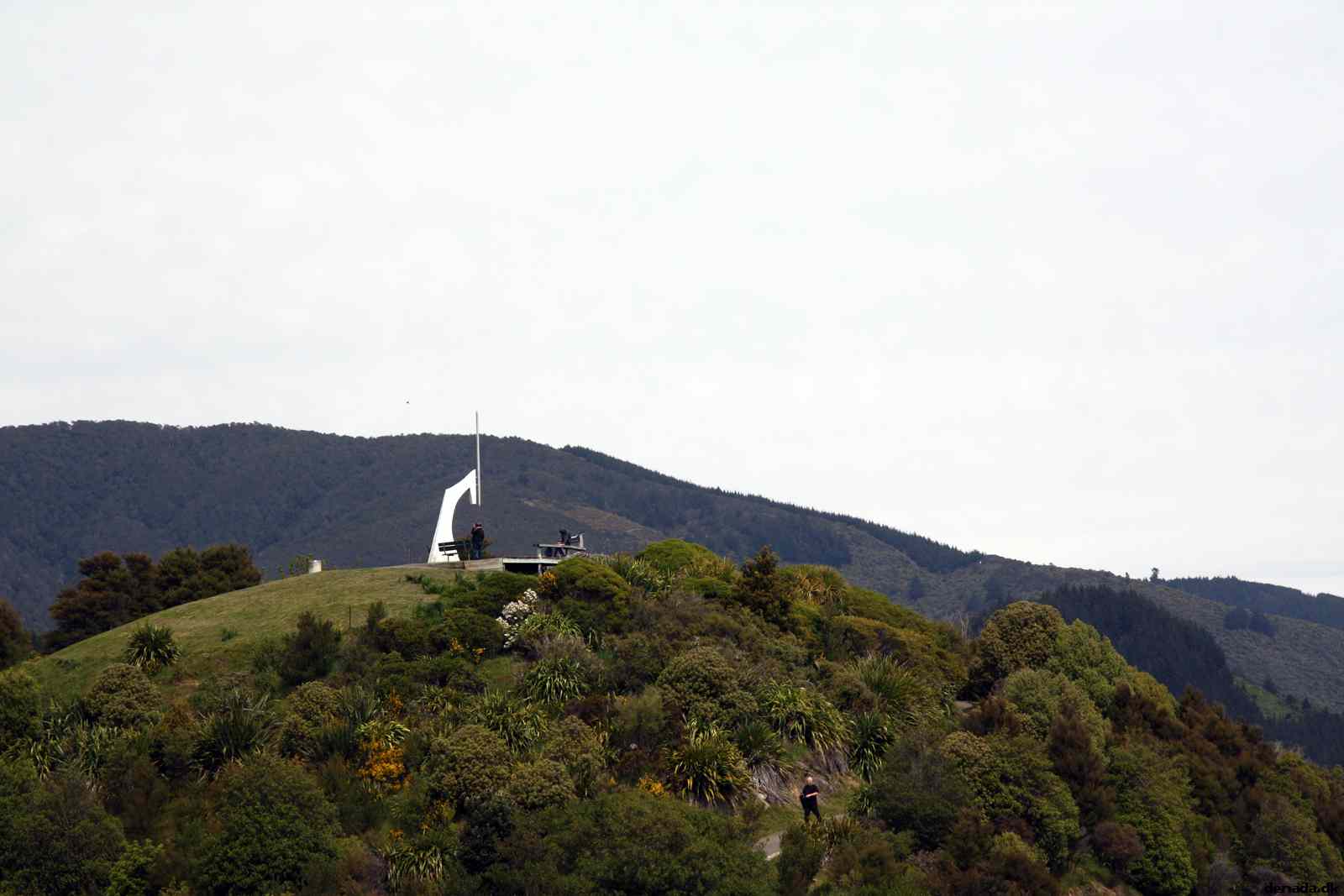 * Image 23