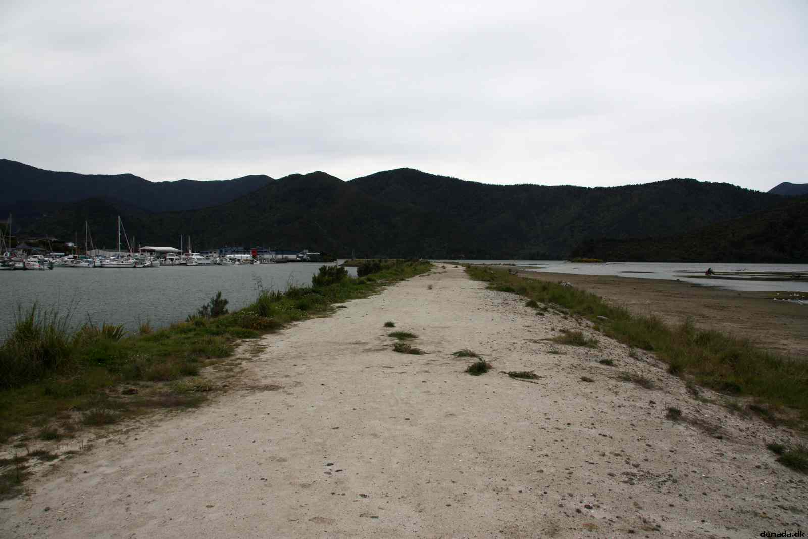 * Image 33