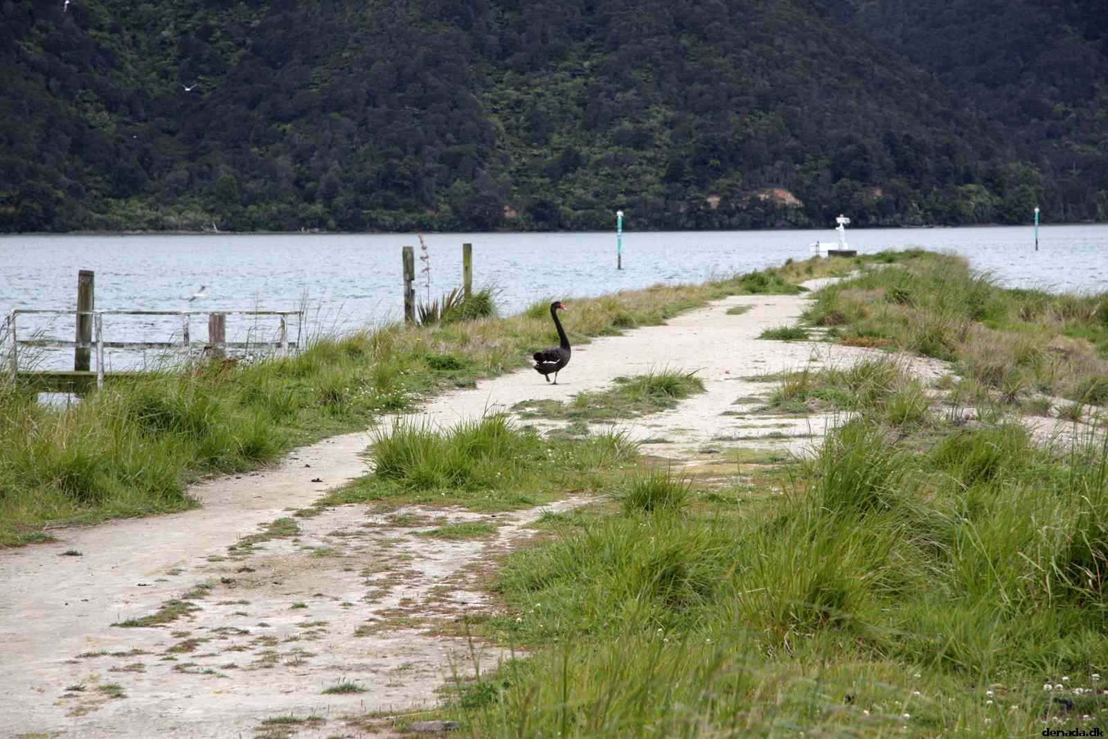 * Image 37