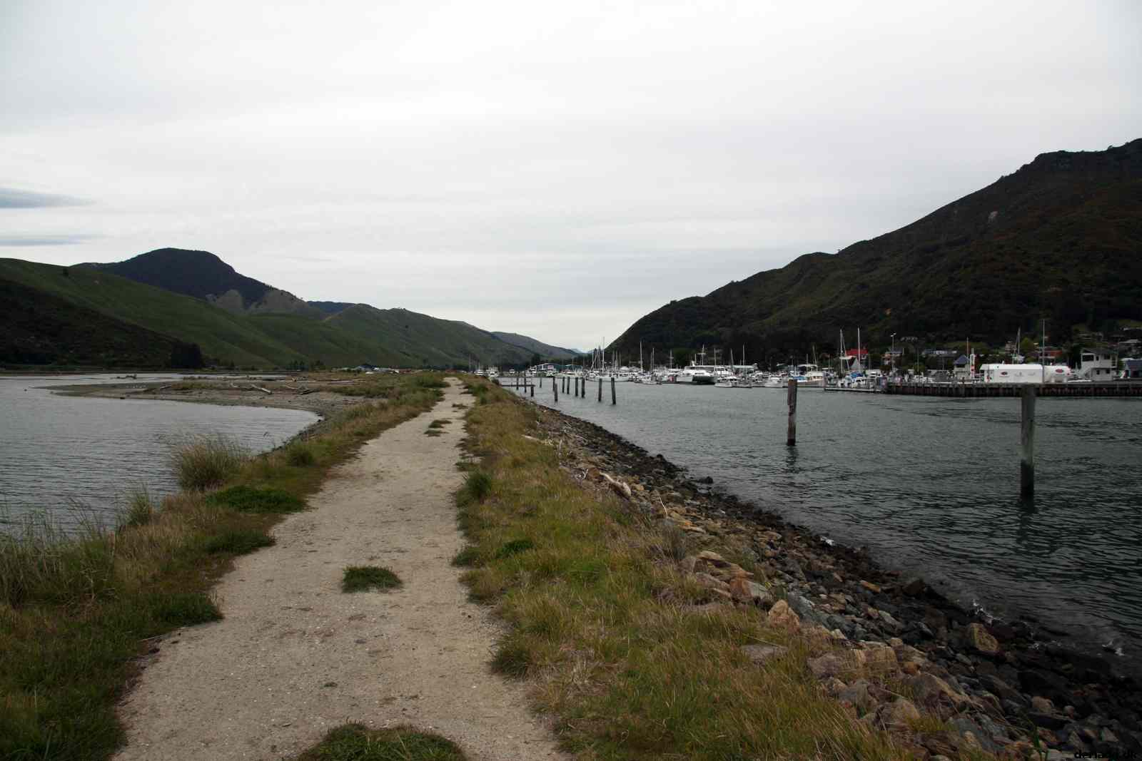 * Image 42