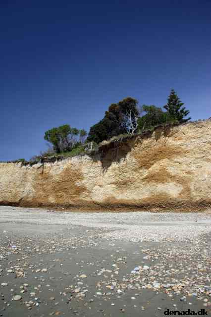 * Image 14
