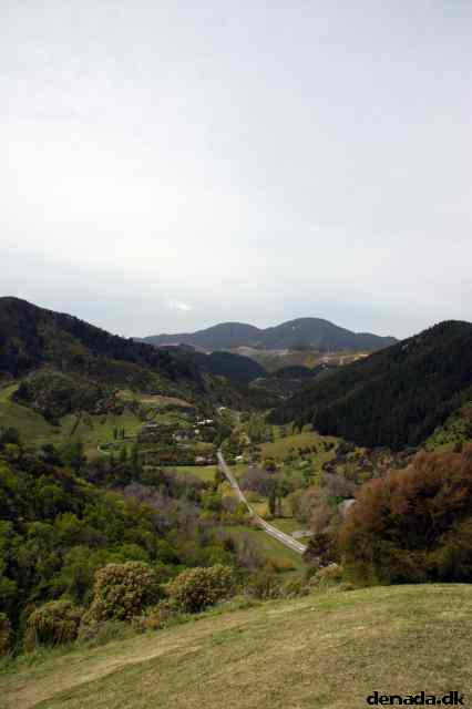 * Image 22